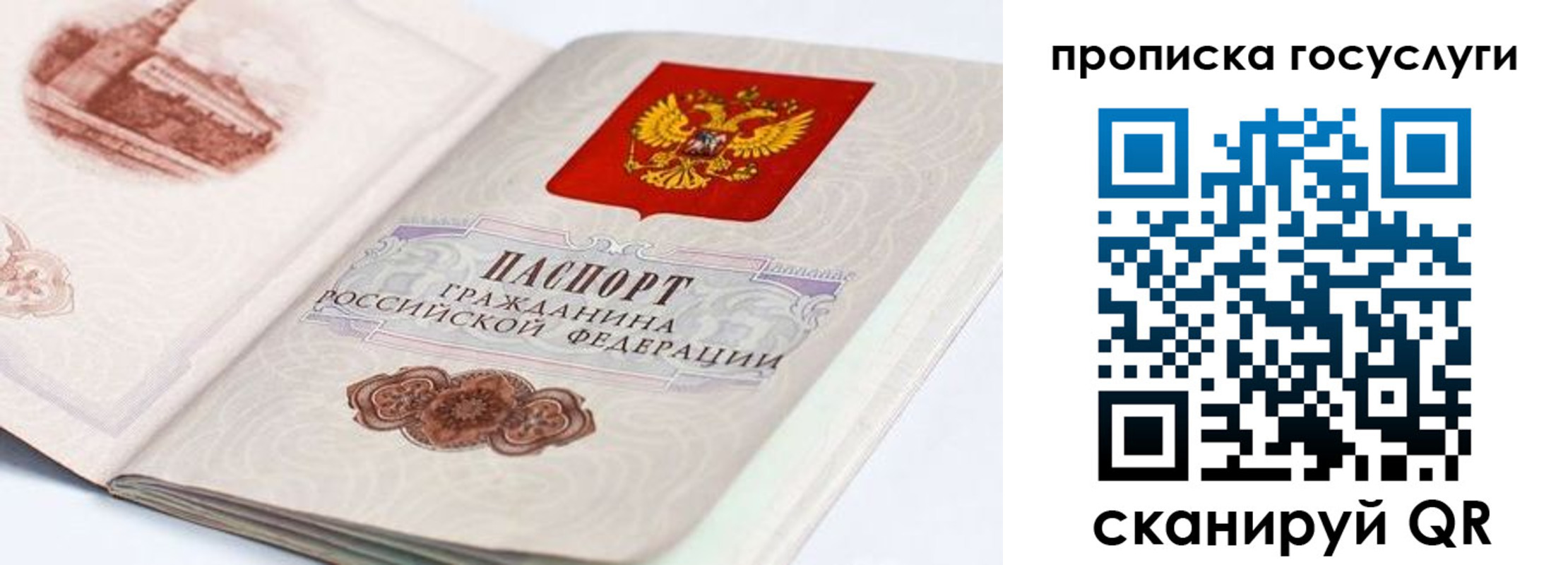 прописка гарантия в Боровске